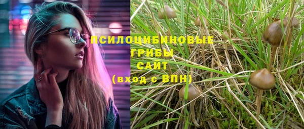 спиды Абинск
