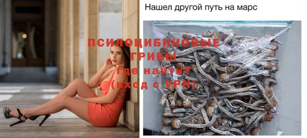 дурь Абдулино