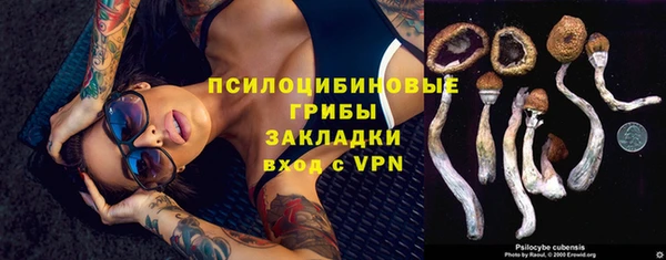 бошки Алексеевка
