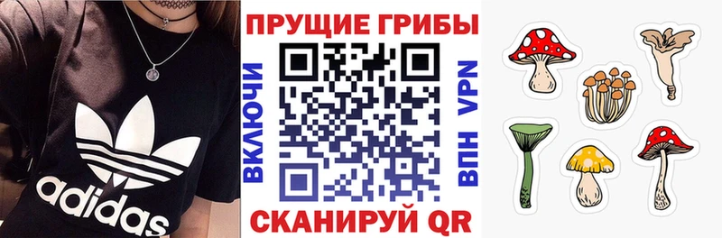 Псилоцибиновые грибы прущие грибы Котовск