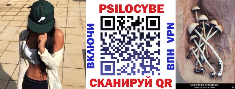 Псилоцибиновые грибы Magic Shrooms  Котовск 